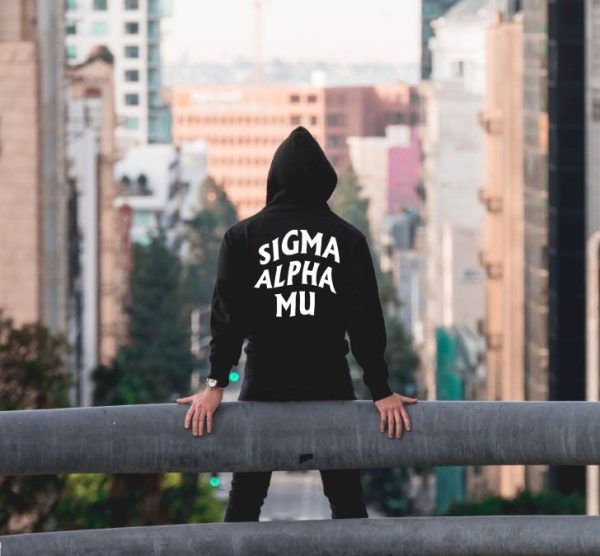 Sigma Alpha Mu Social Hooded Sweatshirt Online Hot Sale - Image 2